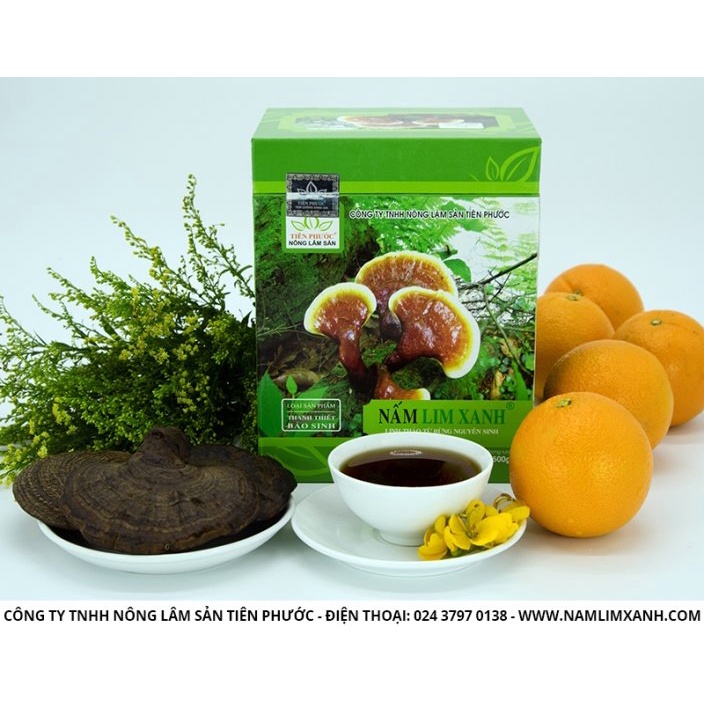 Nấm Lim Xanh Tiên Phước Quảng Nam