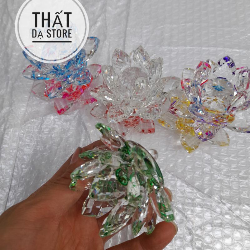 Mô hình Đấu Kỹ Phật Nộ Hỏa Liên Dị Hỏa Đấu Phá Thương Khung 8cm.