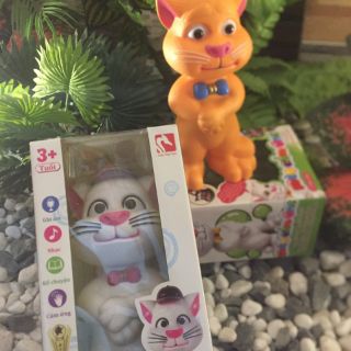 Mèo cảm ứng  thông minh