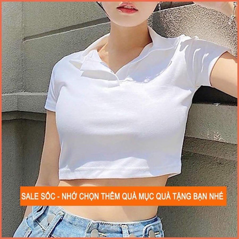 Croptop có cổ trẻ trung nhiều màu, Croptop cotton cổ Đức mát và thấm mồ hôi | BigBuy360 - bigbuy360.vn