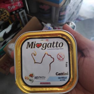 Ba tê Bê cho Mèo