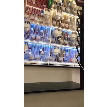 Bình nước cho chim cảnh nhiều dung tích