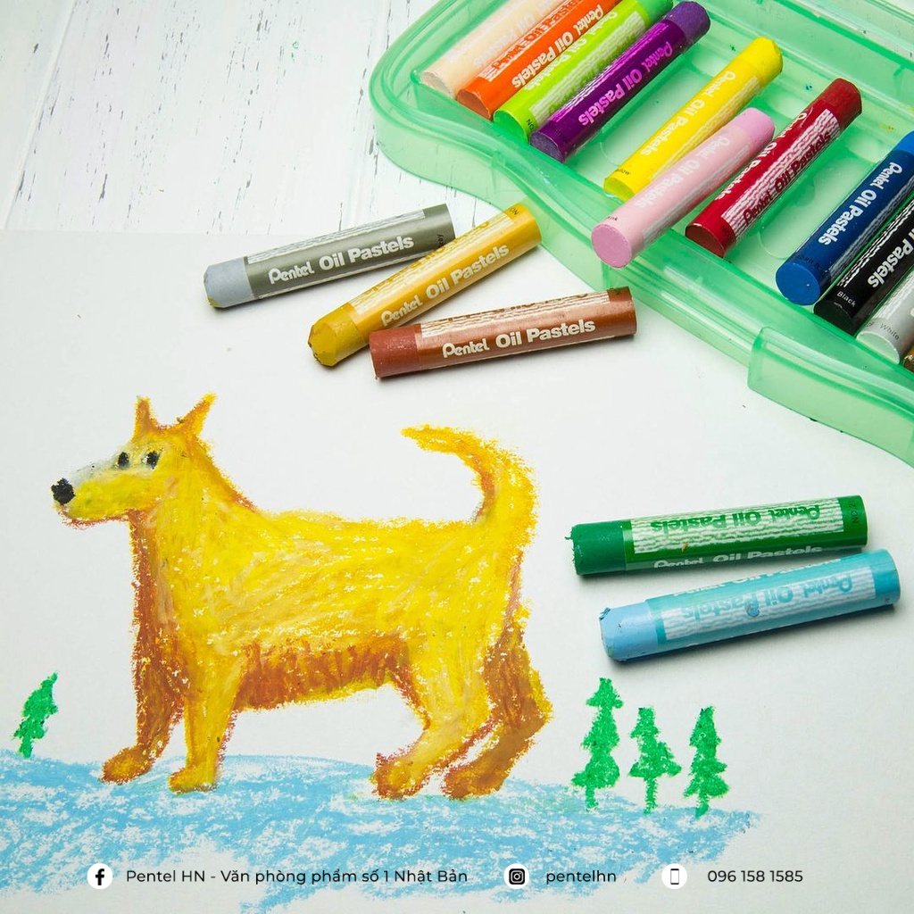 Sáp Màu Dầu Nhật Bản Pentel Oil Pastel PHN Bộ 12/16/25/36/50 Màu | Màu Sắc Tươi Sáng | An Toàn Không Độc Hại | Phấn Dầu|