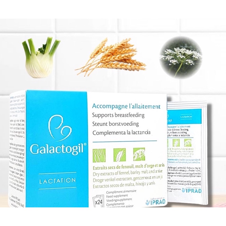 Cốm lợi sữa Galactogil Lactation (Hộp 24 gói)