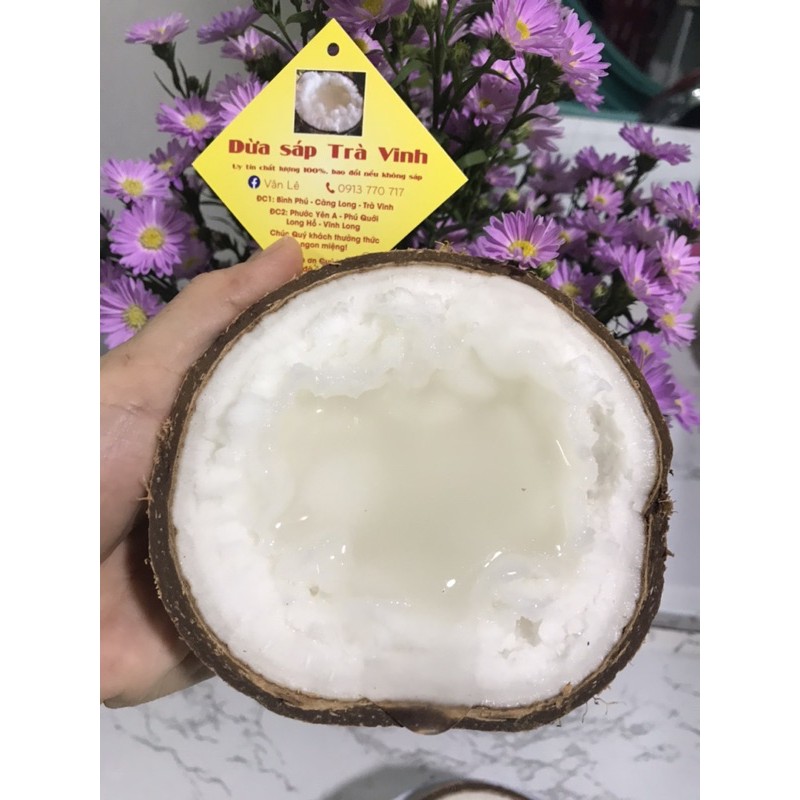 Dừa sáp đặc sản Trà Vinh Loại 1 trái 1kg-1,3kg