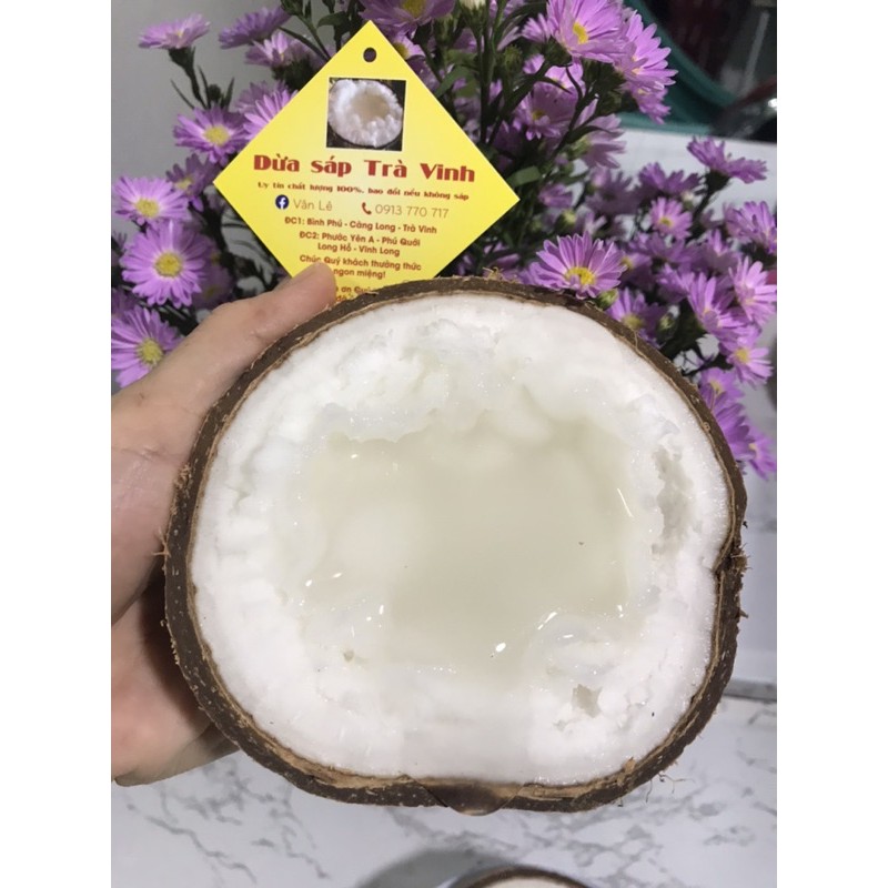 Dừa sáp Trà Vinh Loại 1 (từ 1kg-2kg)