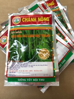 Hạt giống Đậu Đũa (hạt trắng)