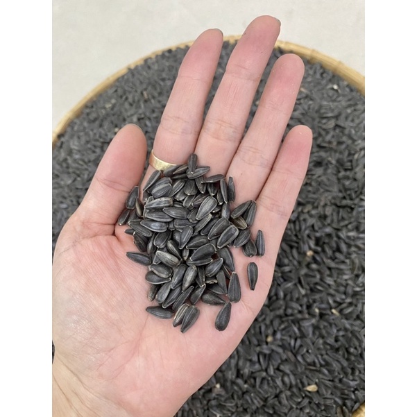 Hạt Hướng Dương - Thức ăn cho gà,vẹt,chim,hamster