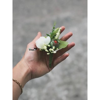 Cài áo chú rể - tone trắng