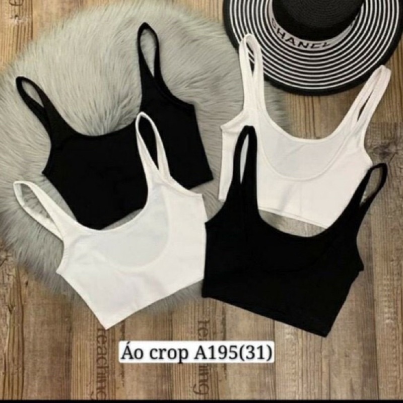 ÁO THUN CỔ U HỞ LƯNG ( cotton mát )