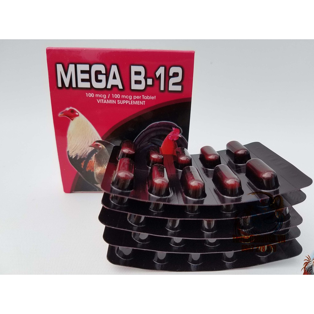 Mega B12 (1 Hộp 100 Viên) Thuốc Nuôi Gà Chế Độ Đá ❌Tăng Bo Khung❌