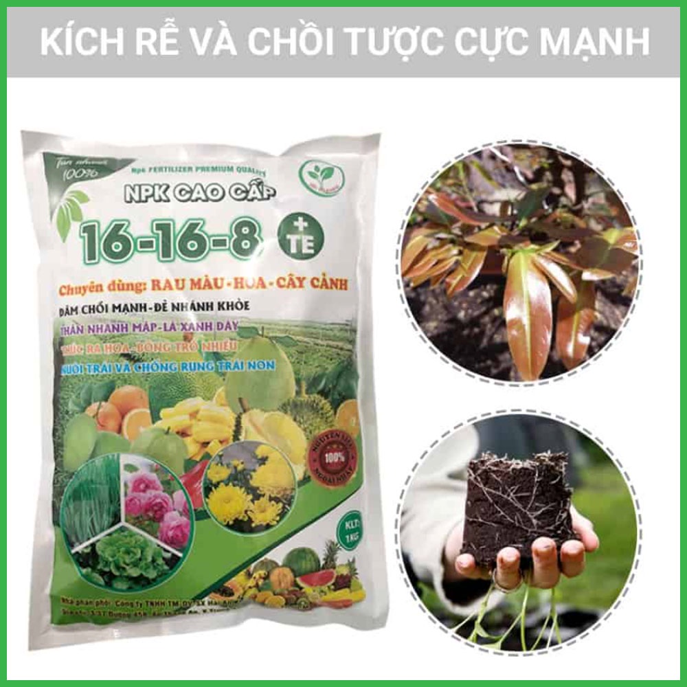 Phân Bón NPK 16-16-8+TE Cho Hoa Hồng - Cây Kiểng Và Rau Màu - 1 Kg