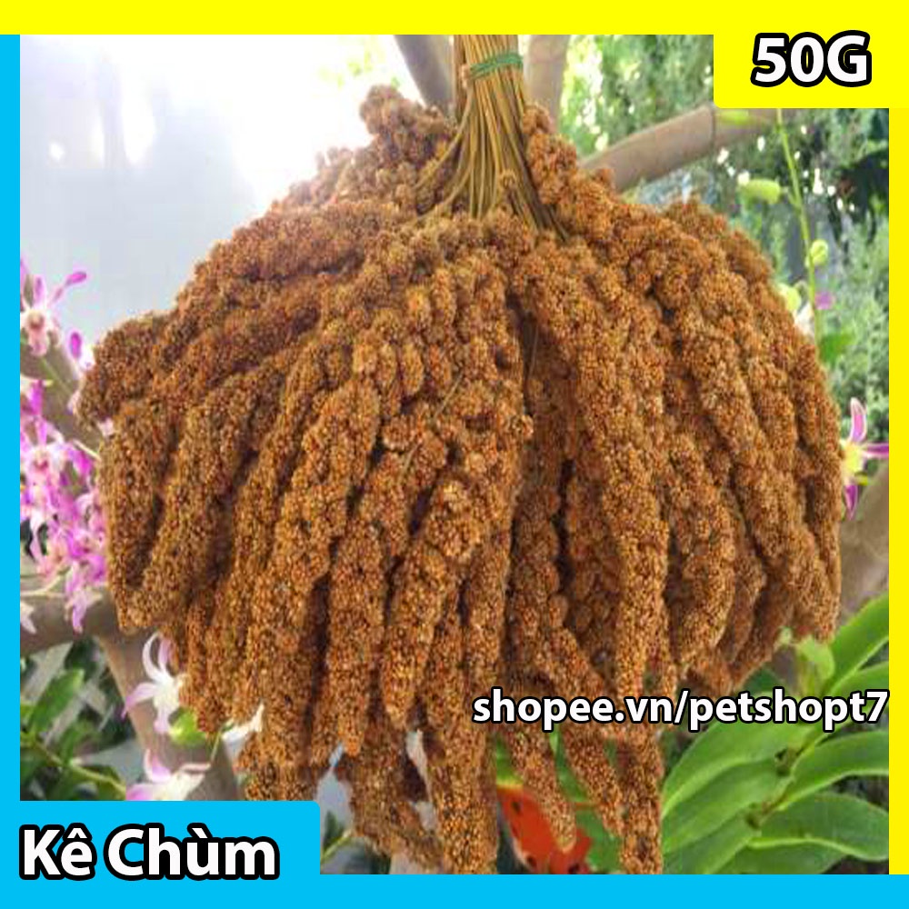 50g Kê Chùm Thức Ăn Vặt Cho Hamster-Gà-Chim