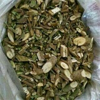 1kg cây an xoa