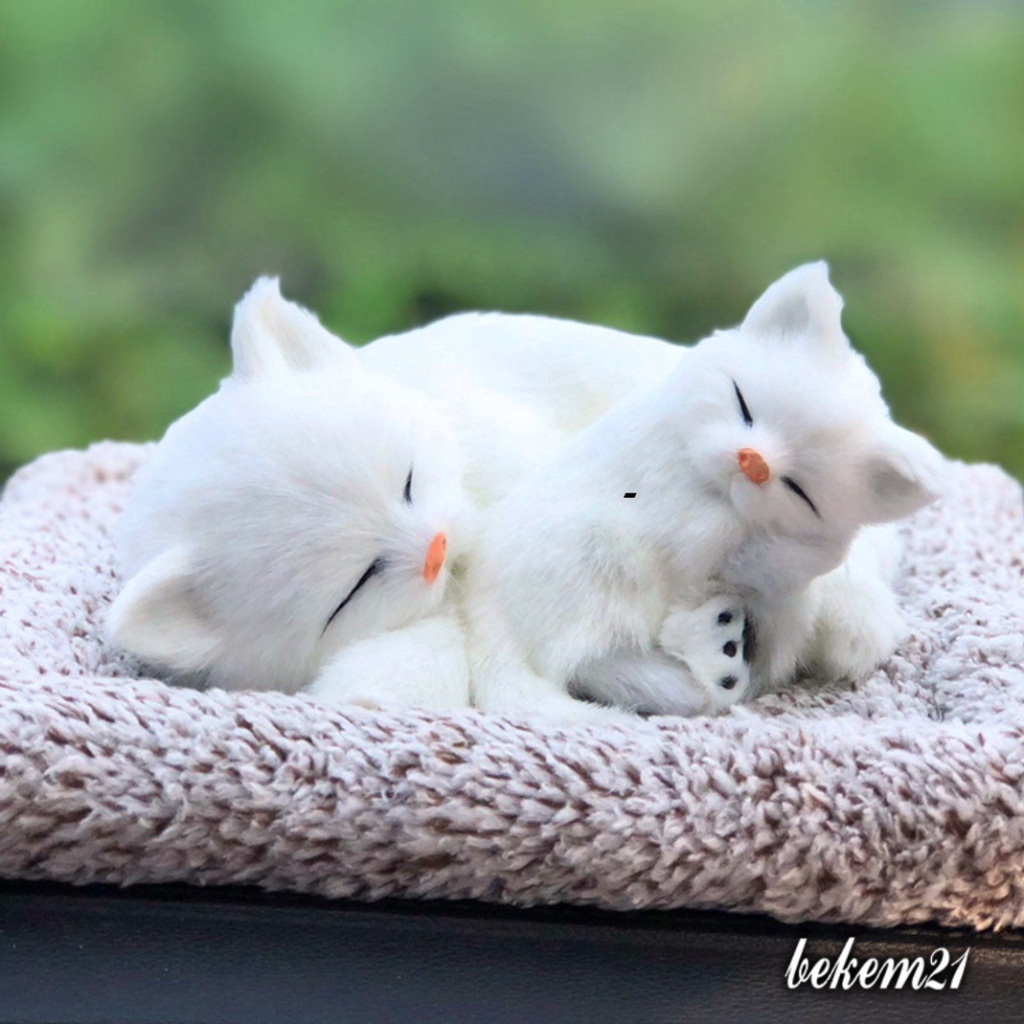 MÈO HOA CÚC lông mượt lõi than hoạt tính lọc không khí khử mùi-taplo xe hơi ô tô Thú bông Chó mèo than hoạt tính