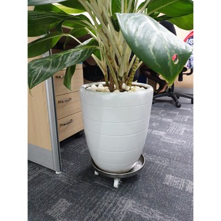 Đế lót chậu cây có bánh xe di chuyển ĐK 36cm