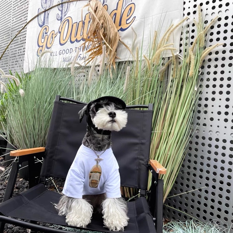 ÁP THUN GUCCl DÉP cho chó mèo