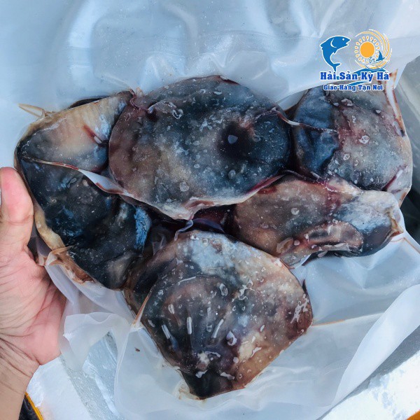 [Mã 267FMCGSALE giảm 8% đơn 500K] [NowShip] Giá sỉ 1 Kg Mắt Cá Ngừ | BigBuy360 - bigbuy360.vn