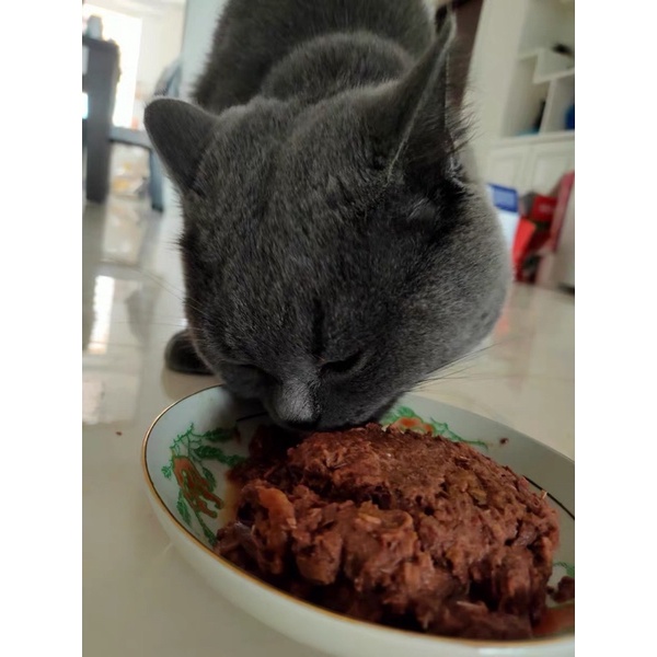 Pate cho mèo YOKEN thùng 12 lon 170g