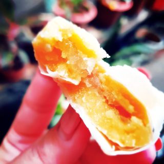 Bánh pía sầu tươi
