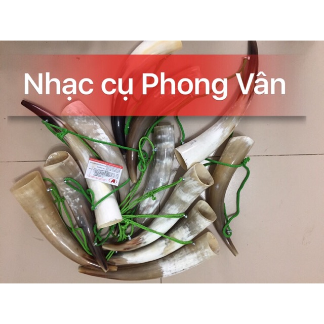 Tù và sừng trâu giá rẻ