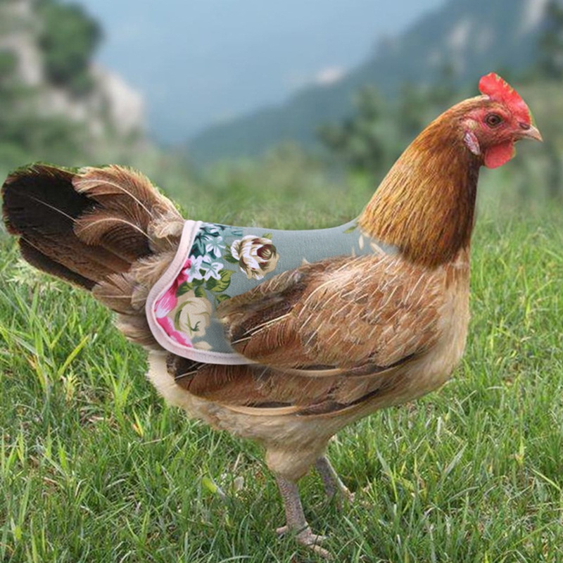 Lucky Tạp Dề Yên Ngựa Co Giãn Phối Ren Lông Vũ Có Giá Đỡ Bảo Vệ Cho Thú Cưng Gà Vịt