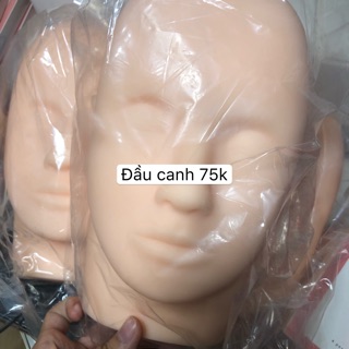 Đầu canh học nối mi