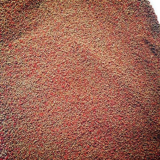 Cám kích đỏ 1kg