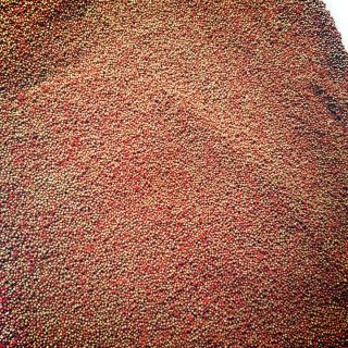 Cám kích đỏ 1kg