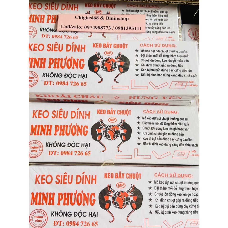 SET 12 VỈ KEO DÍNH CHUỘT MINH PHƯƠNG KHOÁI CHÂU- HƯNG YÊN CHÍNH HÃNG