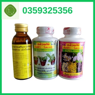 Combo Thuốc siêu kích rễ cho lan EXOTIC 100ml+ kích mầm kei, kích hoa Alpha Omega 250ml