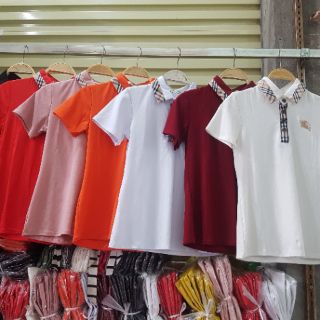 Áo phông cổ đức viền kẻ bb