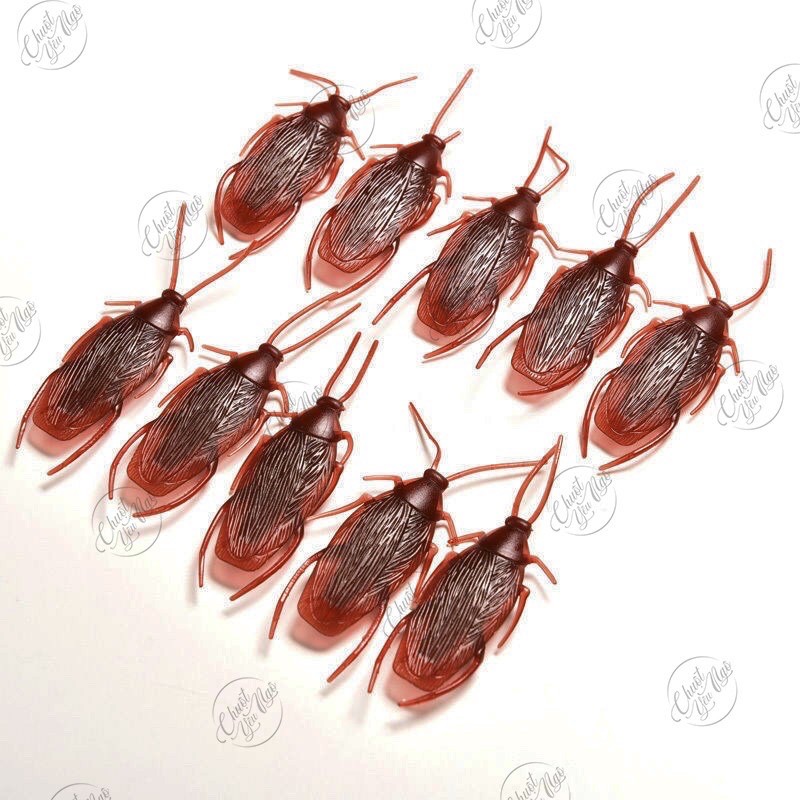 Combo 10 con gián giả nhựa dẻo để troll bạn bè, làm đồ chơi cho chó mèo hoặc làm mồi câu cá NT 16