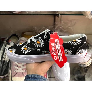Giày Vans hoa cúc ( Vans daisy )