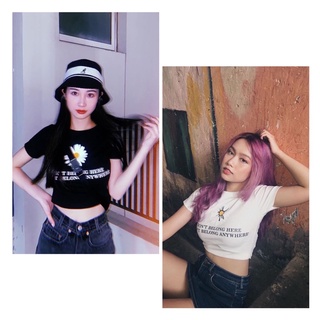 ÁO CROPTOP HOA CÚC TAY NGẮN [GEMI SHOP]