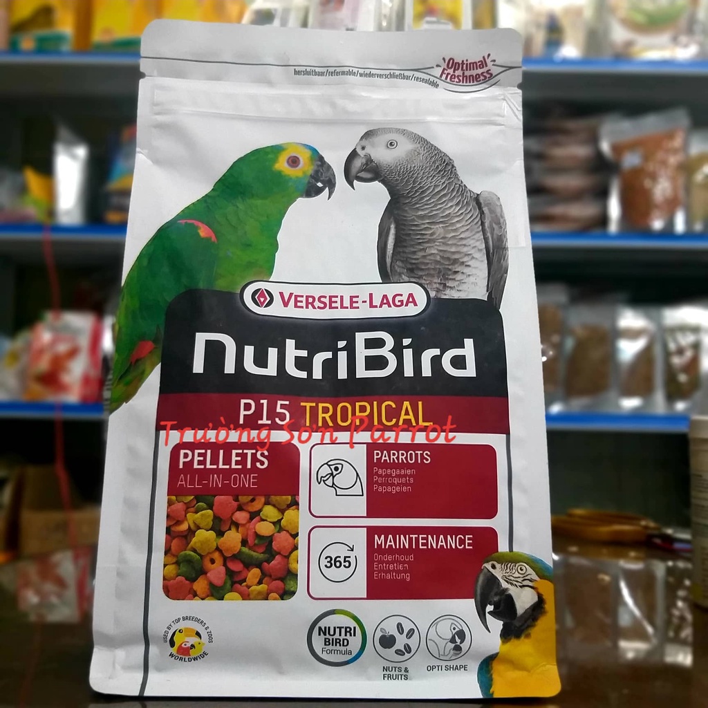 Hạt trái cây P15 của nutribird dành cho vẹt xám, electus, amazon, macaw...và các vẹt cùng size