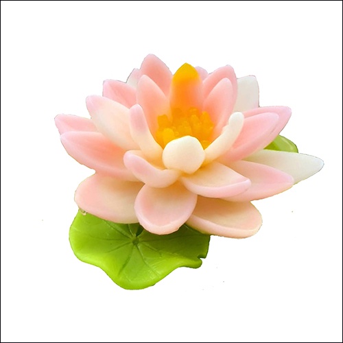 Khuôn silicon Hoa Súng làm bánh rau câu 3D 4D