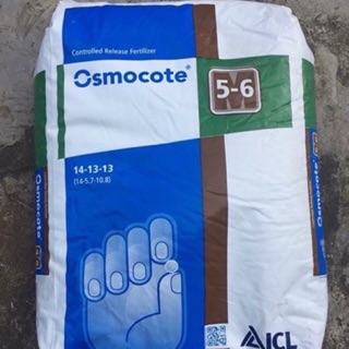 Phân bón tan chậm 6 tháng: 0smocote 14-13-13. 180.000 đ/ kg