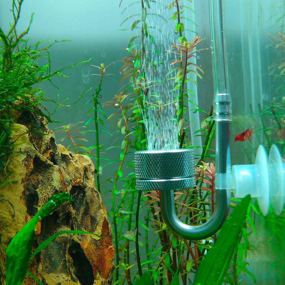 Máy Khuếch Tán CO2 Bằng Gốm Sứ Cho Bể Cá