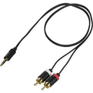 Cáp AV 3.5φ - 2xRCA 3.0m ELECOM DH-MWRN30