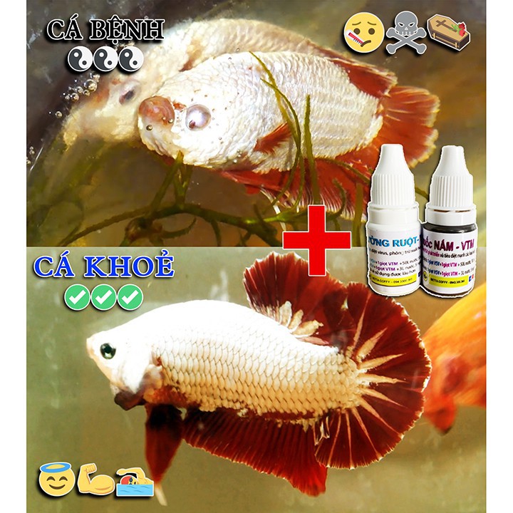 Oxy Viên Sủi Đậm Đặc - Cung Cấp O2 cho Cá 🐟