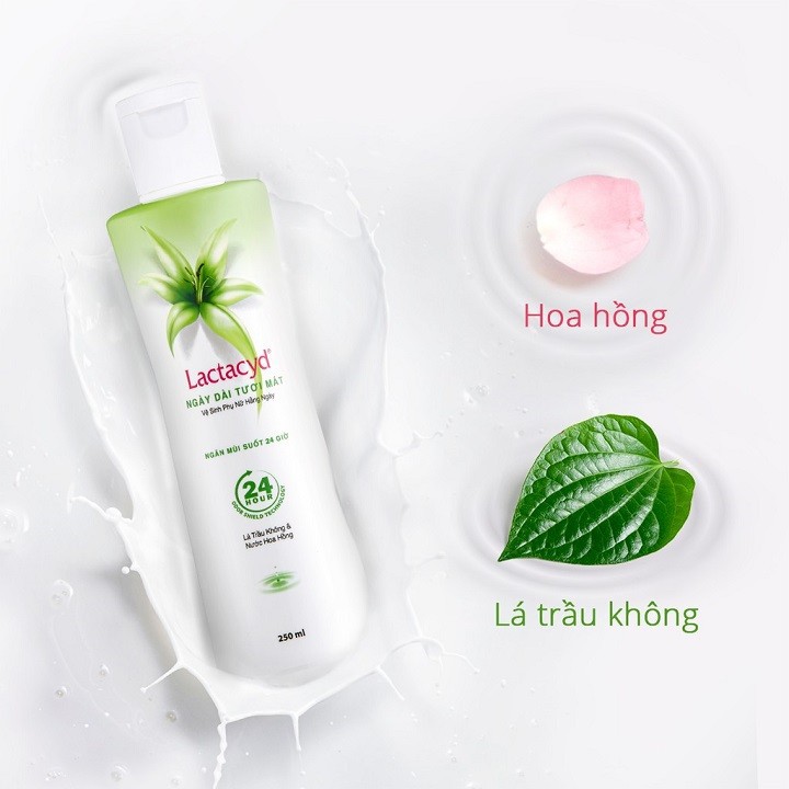 Dung Dịch Vệ Sinh Phụ Nữ Lactacyd 250ml