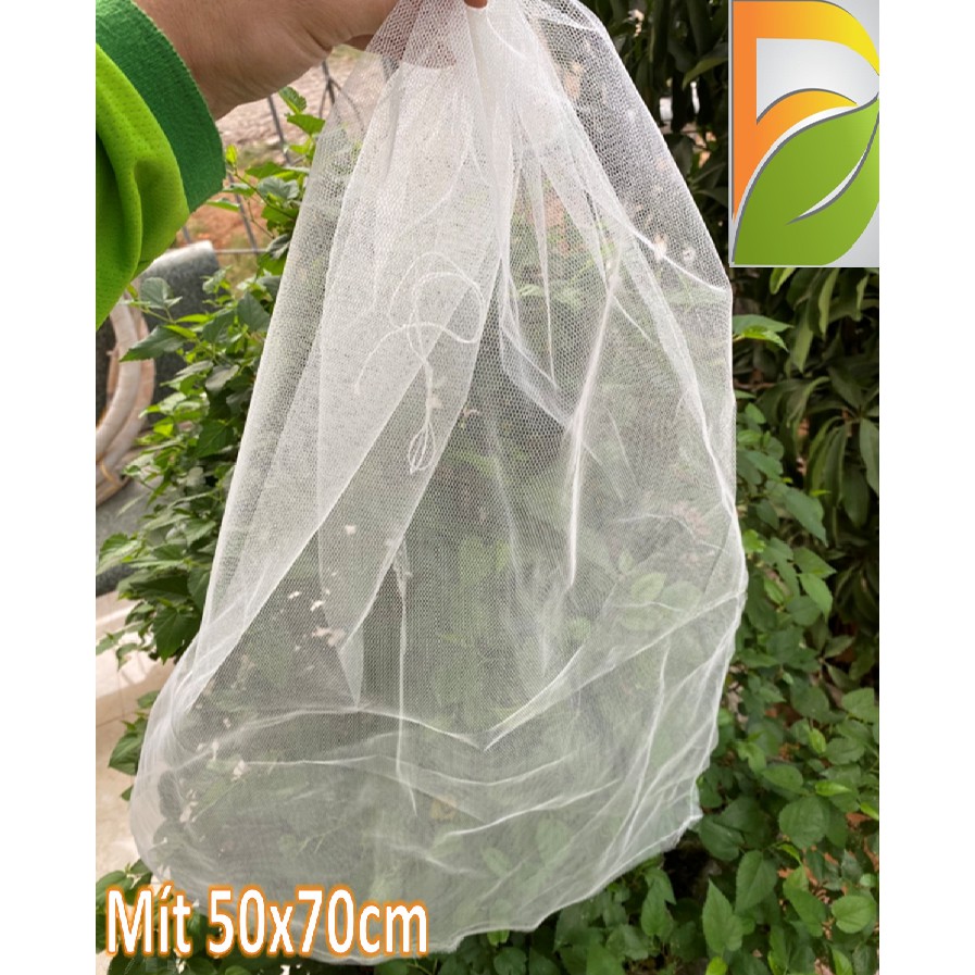 Túi Bao Trái Mít Lưới 50x70cm (50 cái)