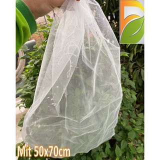 Túi Bao Trái Mít Lưới 50x70cm (50 cái)