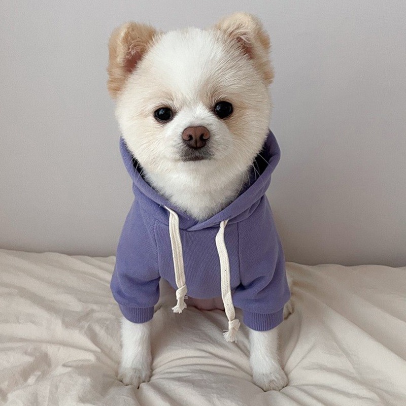 Quần áo thú cưng - áo hoodie cho chó mèo