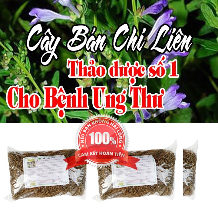 Cây bán chi liên sấy khô 1kg