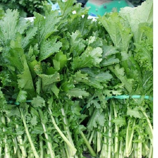 Gói 1kg Hạt giống rau cải mèo Hà Giang- gói 1kg