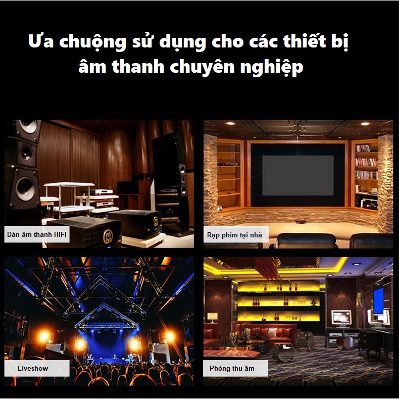 Bộ 2 dây loa Accuphase 40th Anniversary cao cấp dài 2.5m