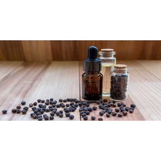 Tinh dầu tiêu đen nguyên chất ( Pepper Essential Oil) 10ml