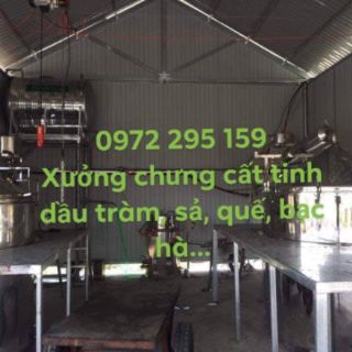 Combo 2 chai 100ml  tinh dầu tràm nguyên chất, tặng lọ 10ml sả chanh